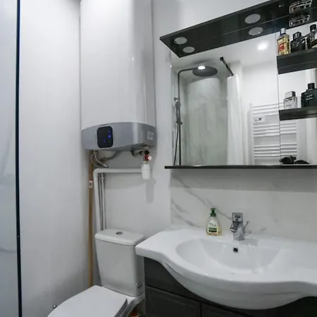 Renovated Near The Buttes Chaumont Apartment Paris